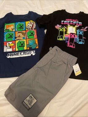 Minecraft Set
